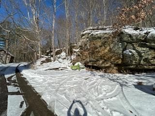 IMG_20250114_122226