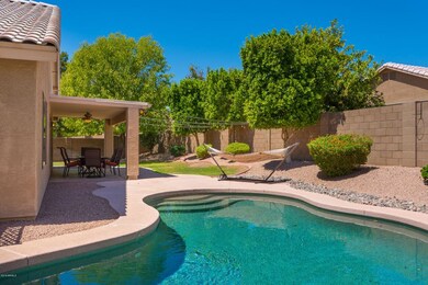 03- BACKYARD POOL