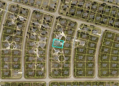 1255 Belfast Ave, Lehigh Acres, FL 33913 - photo 2