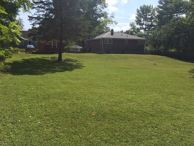 backyard green