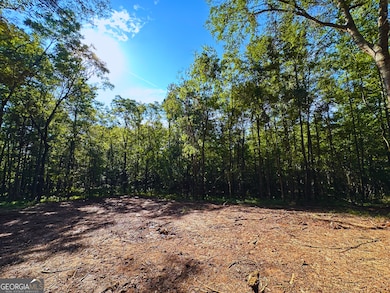 119 Hough Johnson Rd, Haddock, GA 31033 - photo 3