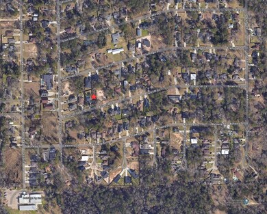 1316 Briarcliff St, Conroe, TX 77385 - photo 3