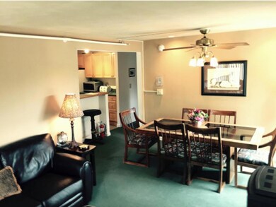 171 Cottage Club Road E - 401 unit 401, Stowe, VT 05672 - photo 5