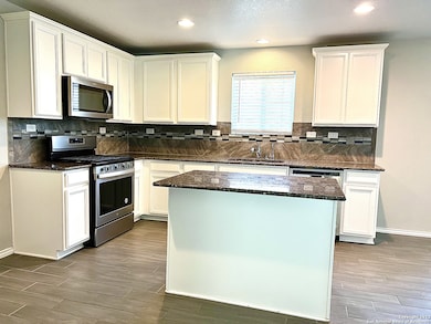 12006 Briscoe Ranch, San Antonio, TX 78254 - photo 4