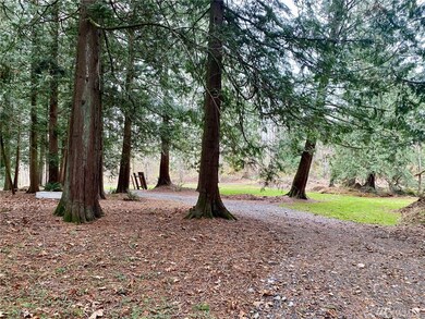 0 E Badger Rd, Everson, WA 98247 - photo 4