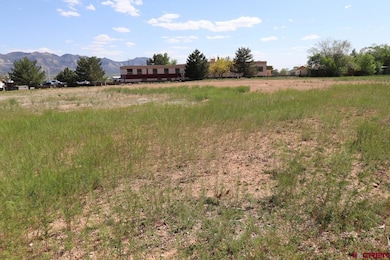 915 S Broadway, Cortez, CO 81321 - photo 4