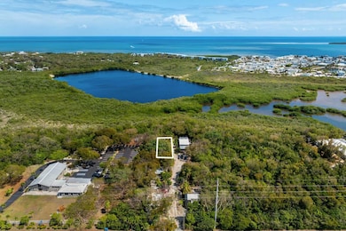 Nature Preserve Behind Home