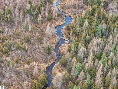 VL S 27 Rd, Hoxeyville, MI 49601 - photo 5