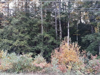 0 Warwick Rd, Winchester, NH 03470 - photo 4