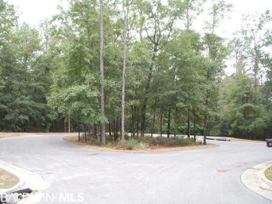 Street View - Canebreak Cul-de-sac