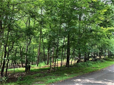 37 Wolf River Ln unit 37, Lake Lure, NC 28746 - photo 7