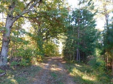 91.1 Acr Elkhorn Rd, Java, VA 24565 - photo 5