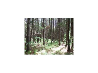 3094 Lyman Batcheller Rd, Hartford, VT 05001 - photo 2