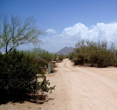 ROAD VIEW