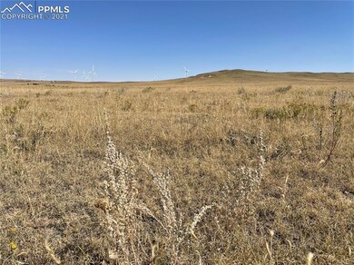 29040 Paint Mine Rd, Calhan, CO 80808 - photo 3