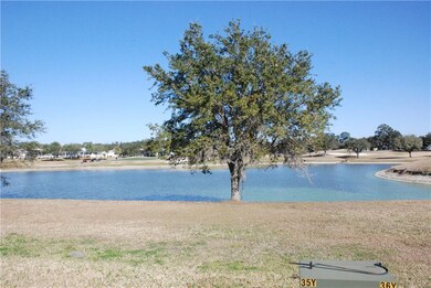 7361 SE 172nd Legacy Ln, The Villages, FL 32162 - photo 7