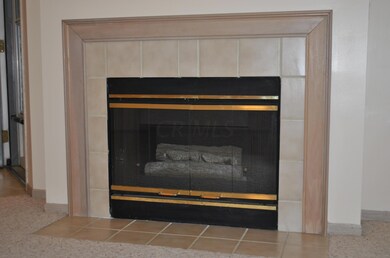 GAS LOG FIREPLACE