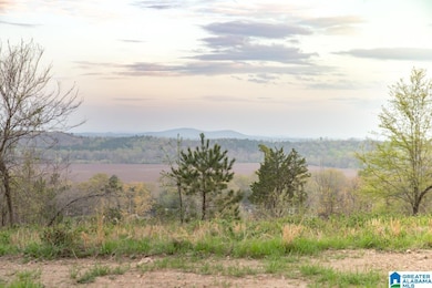 4947 U S 231 unit 3, Vincent, AL 35178 - photo 6