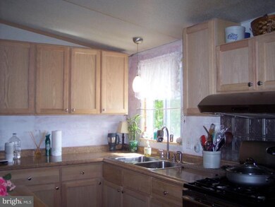 10741 Horseshoe Ln, Worton, MD 21678 - photo 7