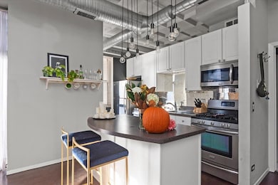 Film Exchange Lofts unit 605, Chicago, IL 60605 - photo 6