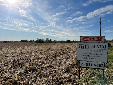 21671 Clarksville Rd, Lexington, IL 61753 - photo 5