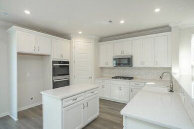 Optional Large island in the Kitchen or as picture shows with a divider from the LR to Kitchen