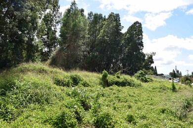 0 Ainakula Rd unit Lot 9-C 394854, Kula, HI 96790 - photo 7