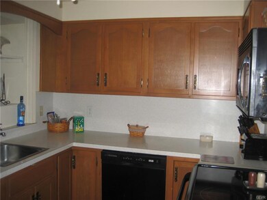 Dishwasher and plenty of counter space