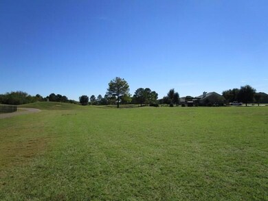 22070 Shady Grove Ct, Whitney, TX 76692 - photo 3