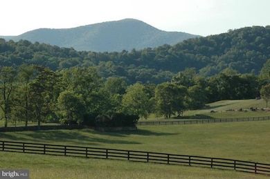 38 Lyle Ln, Amissville, VA 20106 - photo 7