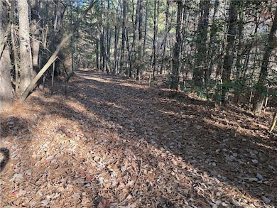 Lot 3 Willie Rd, Seagrove, NC 27341 - photo 5