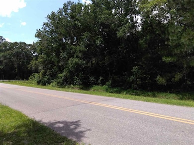 9785 E Deep Creek Blvd, Hastings, FL 32145 - photo 7