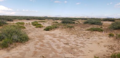 TBD Tbd 4 Horizon City Estates, El Paso, TX 79928 - photo 4