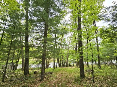 7022 Pot of Gold Rd, Danbury, WI 54830 - photo 5