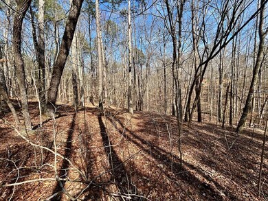 0 Berean Church Rd unit 402415, Ellijay, GA 30540 - photo 2