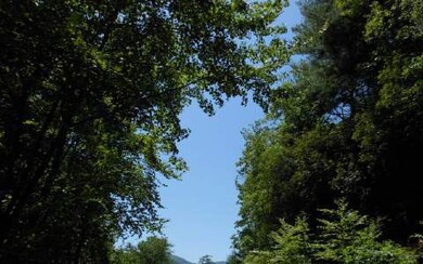 Additional View