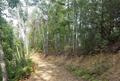 3995 Conley's Creek Rd, Whittier, NC 28789 - photo 3