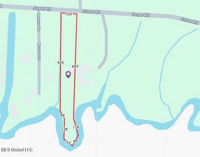 Screen Shot 2025-01-31 at 3.19.51 PM