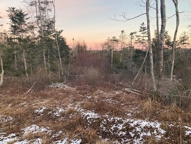 Jonesport Land Photo 5