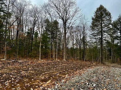 TBD Towle Hill Rd, Eaton, NH 03848 - photo 7