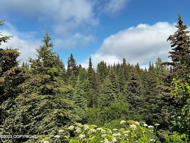 D7858CCB-0D78-4E1E-A2B1-E8A0CE8C8BA0