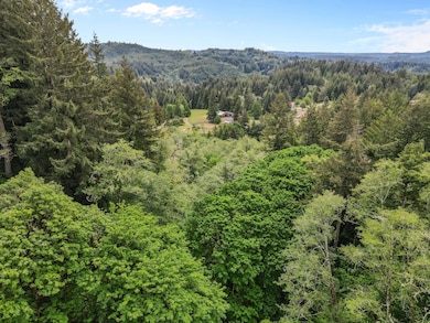 dji_fly_20250525_140922_583_174820780501
