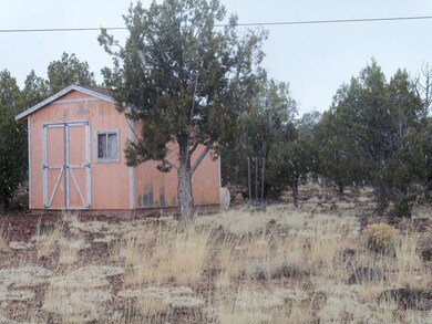 1641 N Eastview, Ash Fork, AZ 86320 - photo 2