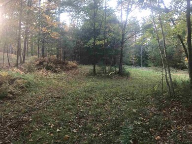 00-B Pinneo Hill Rd, Hanover, NH 03755 - photo 2