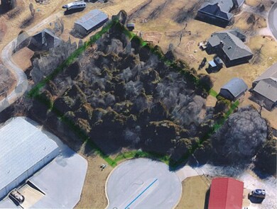 Nixa 1780 N Woodview from Above