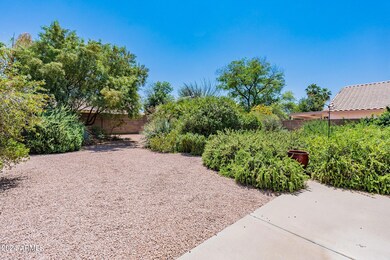 48-web-or-mls-Goldfinch-48