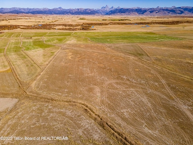 Sage Grouse-05