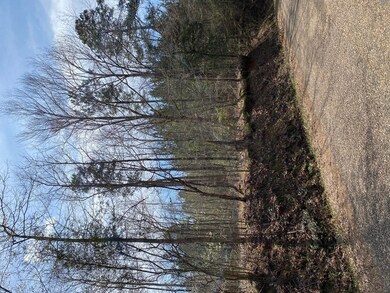 N/A D P Guy Rd, Ruth, MS 39662 - photo 3