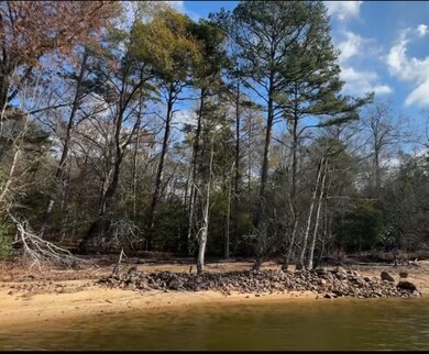 385 Crooked Rd, Abbeville, SC 29620 - photo 3