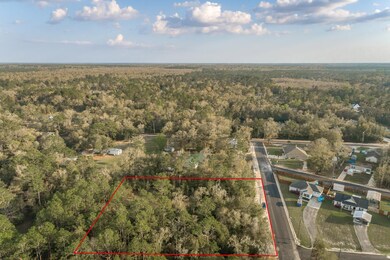 xxx Metcalf Rd, Crawfordville, FL 32327 - photo 6